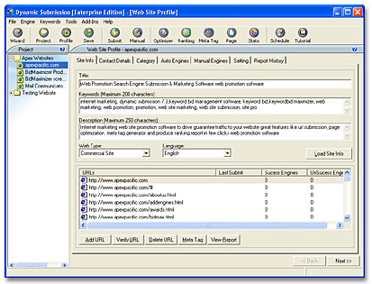 A look into the google submission index tool with the Dynamic Submission Tool for search engine optimization. 